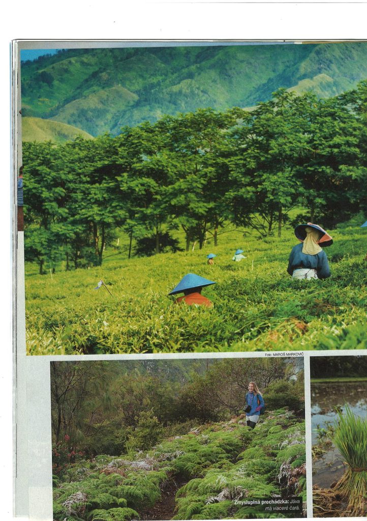 Page 3 image