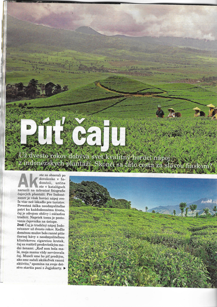 Tn page 1 image