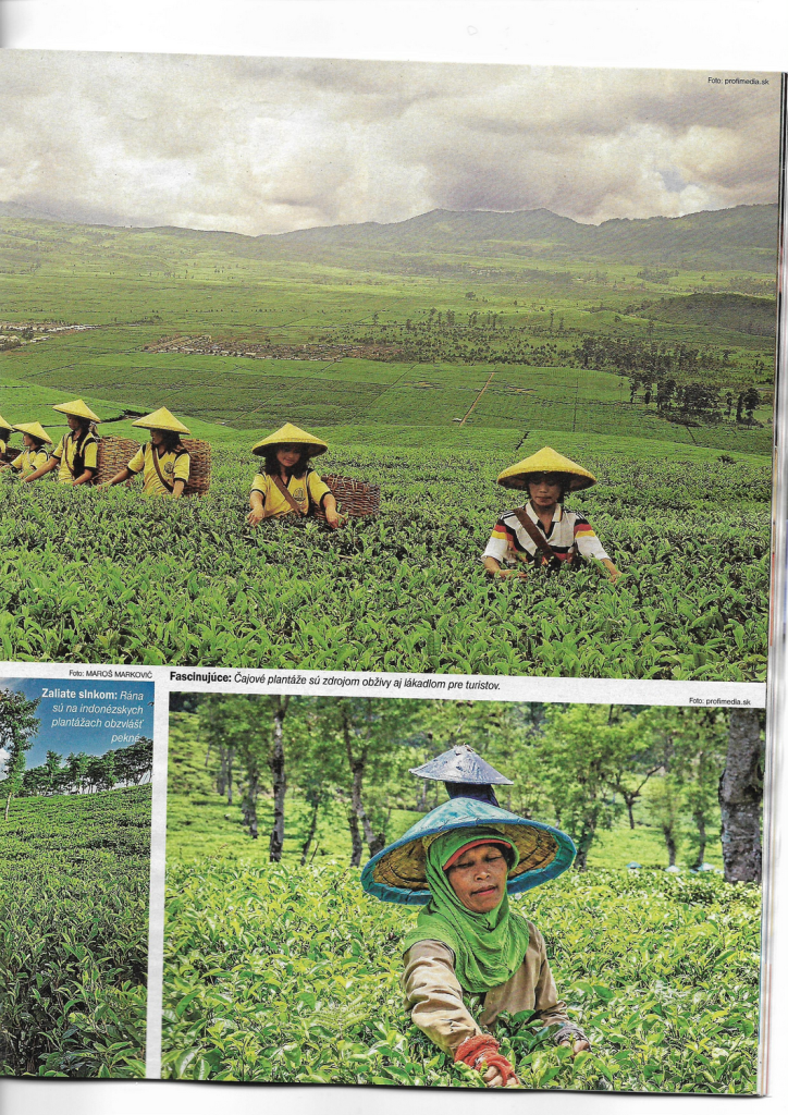 Tn page 2 image
