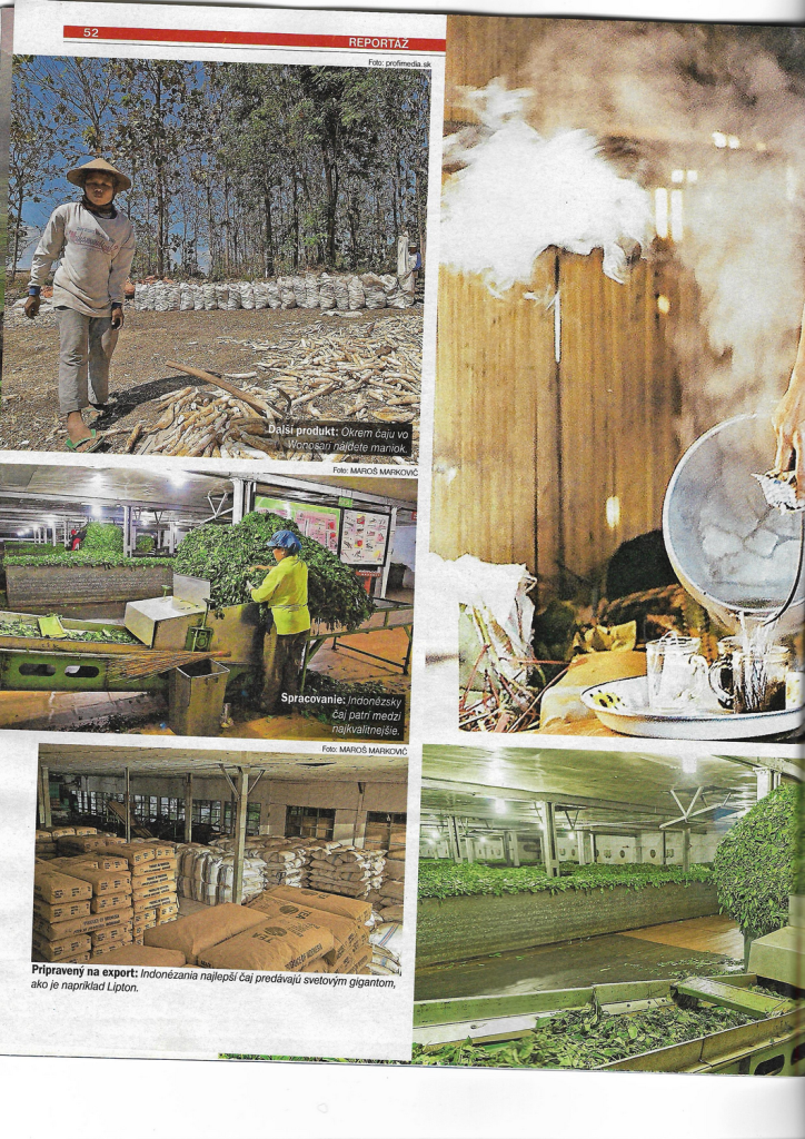 Tn page 3 image