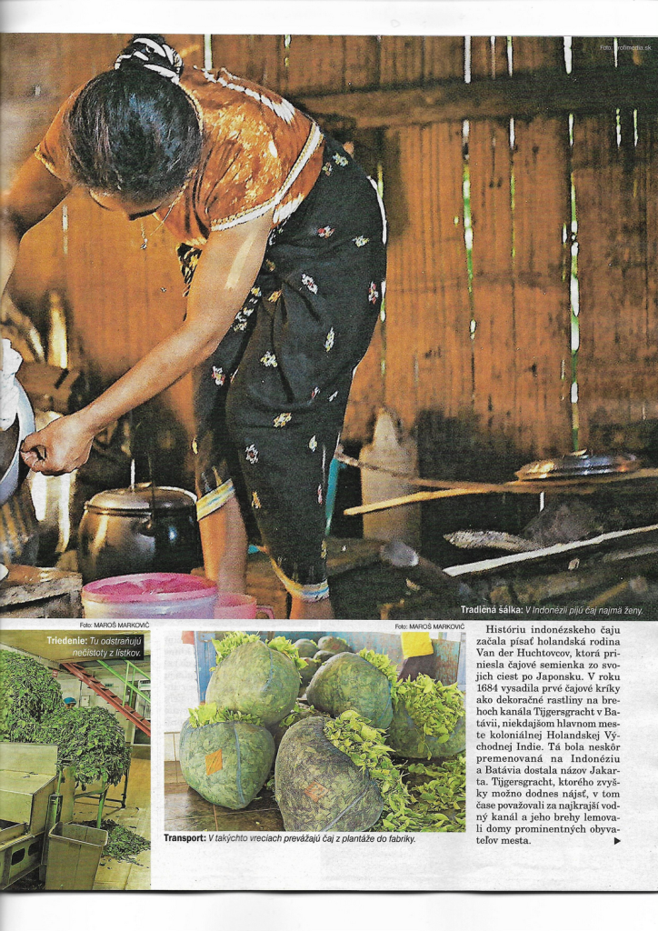 Tn page 4 image