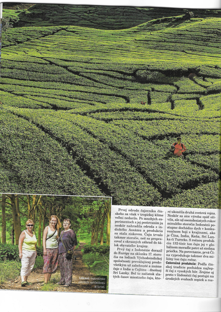 Tn page 5 image