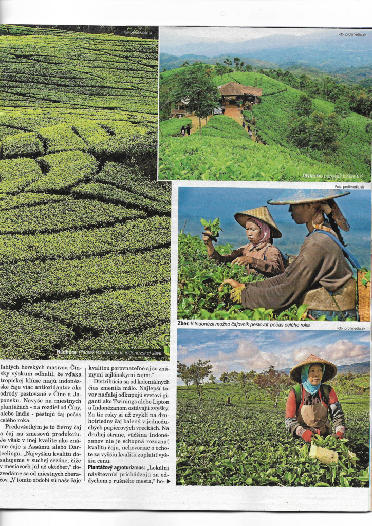 Tn page 6 image